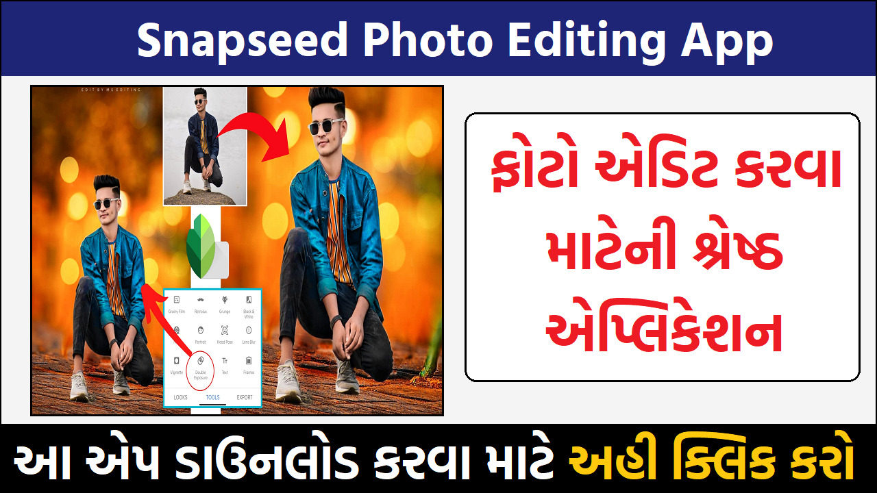 Snapseed Photo Editing App